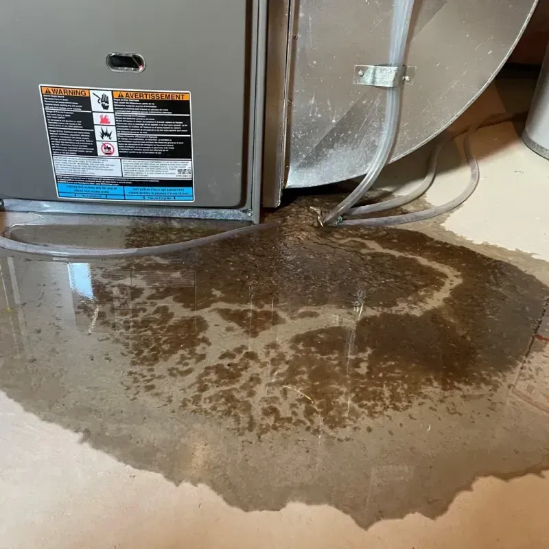 Appliance Leak Cleanup in Cleveland, AL